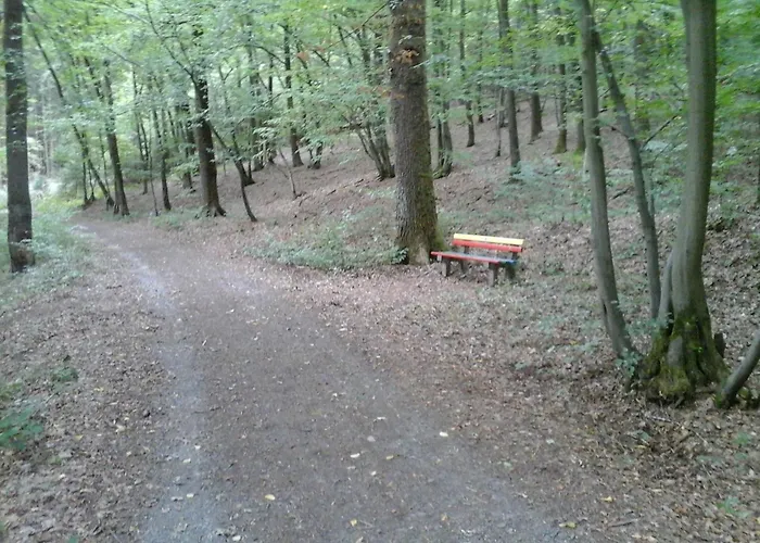 Klein Am Natursteig Sieg Apartamento