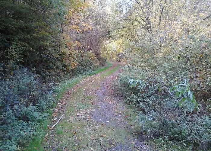 Klein Am Natursteig Sieg *